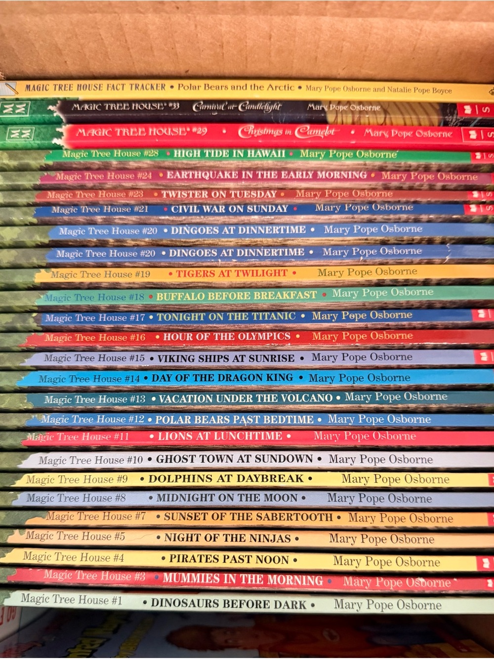Magic Treehouse paperback books almost full set! In great condition